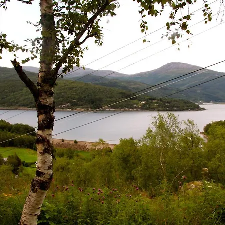 & Holiday park Fauske